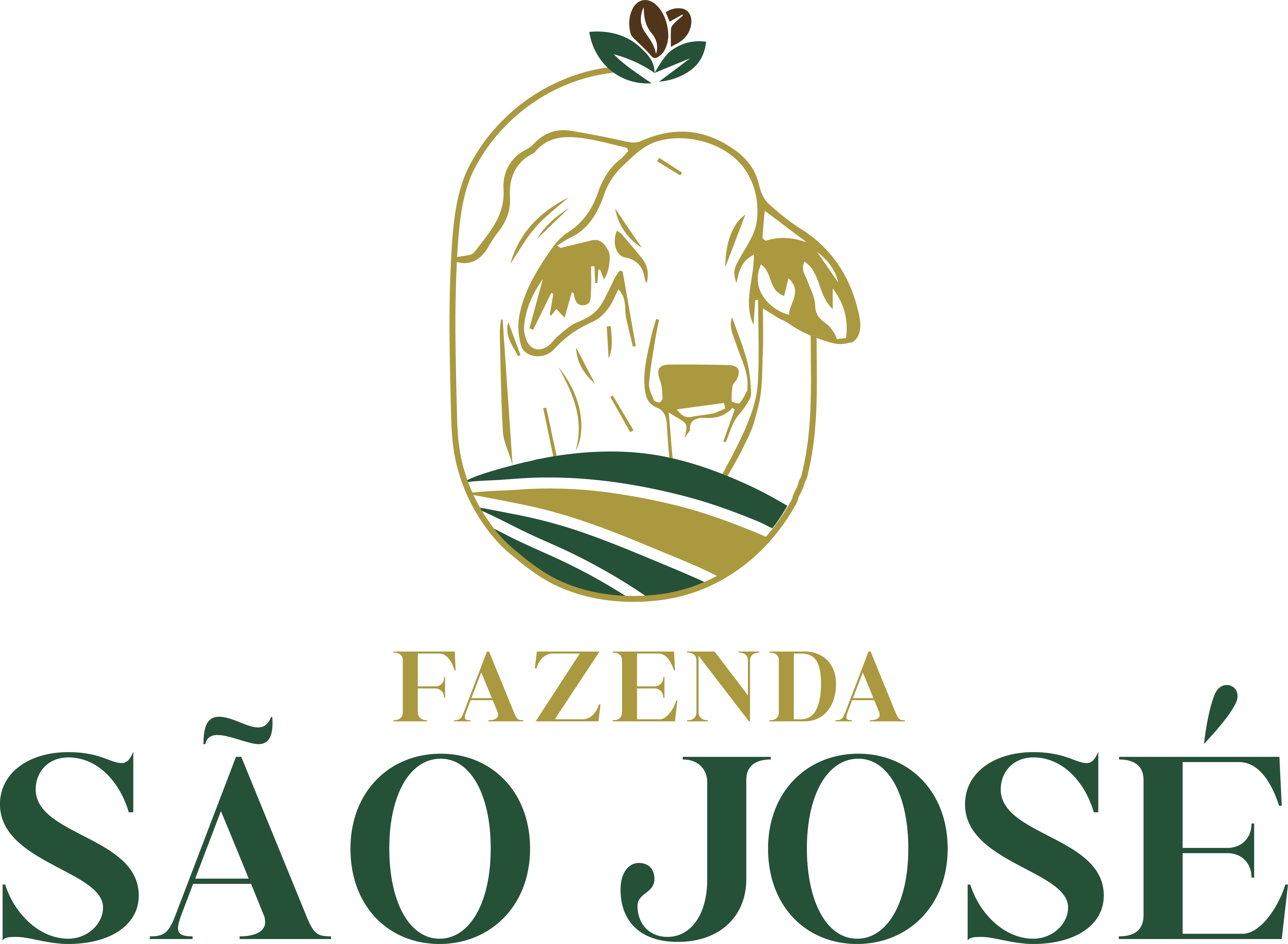 Fazenda São José